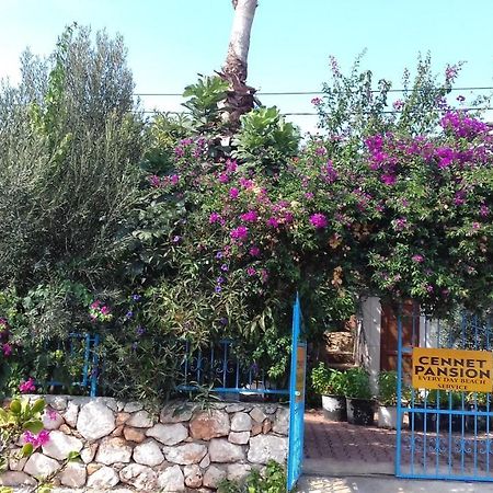 فندق Cennet Pansiyon كالينجاغيس المظهر الخارجي الصورة