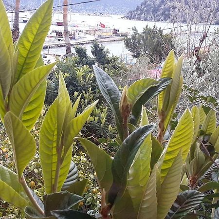 فندق Cennet Pansiyon كالينجاغيس المظهر الخارجي الصورة