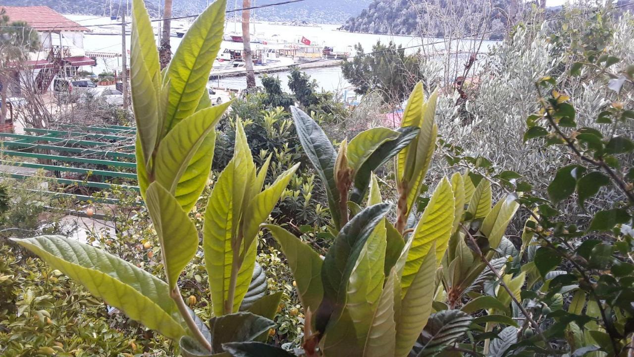 فندق Cennet Pansiyon كالينجاغيس المظهر الخارجي الصورة