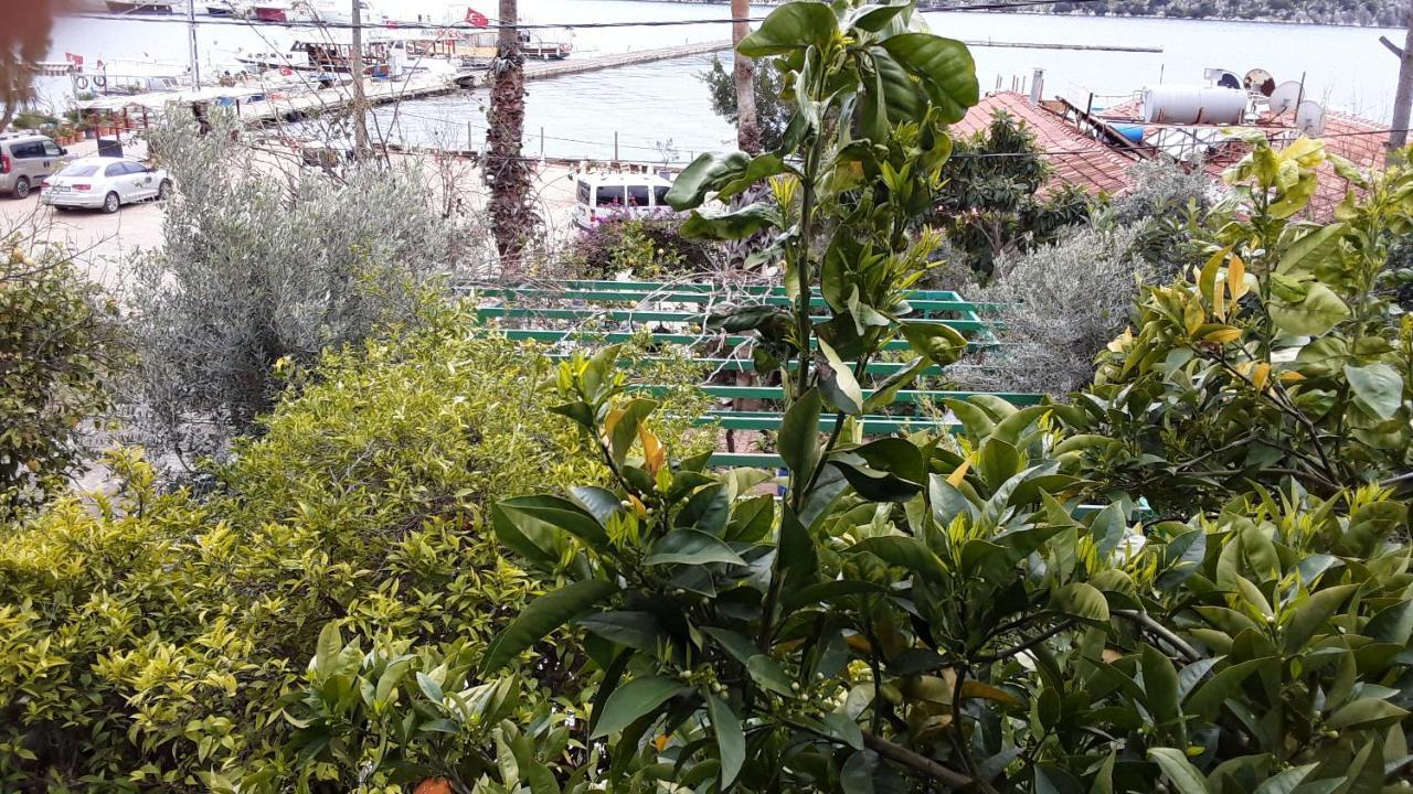 فندق Cennet Pansiyon كالينجاغيس المظهر الخارجي الصورة